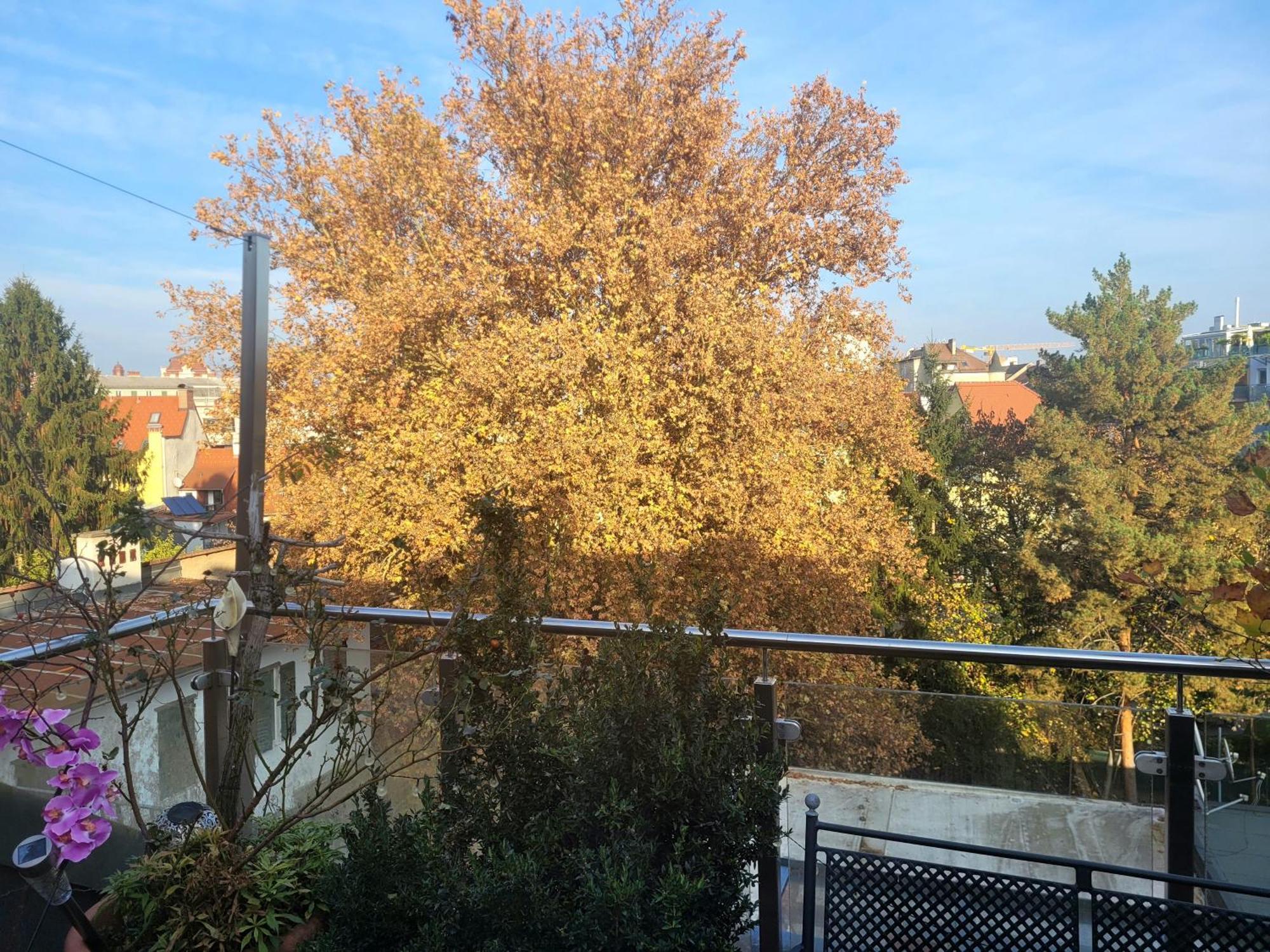 Appartement Romantic Loft I 115sqm